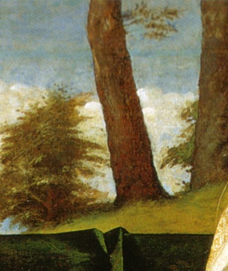 But look closely at the distant trees behind them.