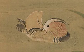 Look at the duck's feathers, painted with light touches.