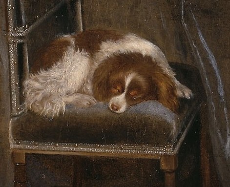 Even the sleeping dog adds to the domestic tranquility.