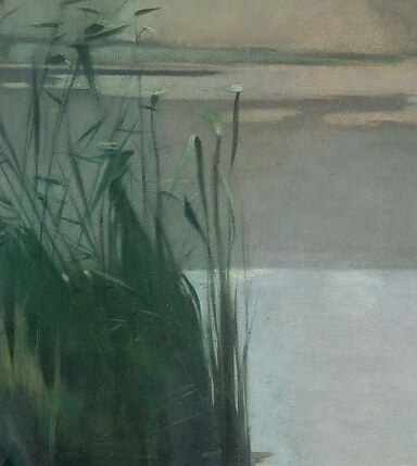 The feathery texture and dark green color of these reeds create a strong visual anchor and suggest the edge of the water.