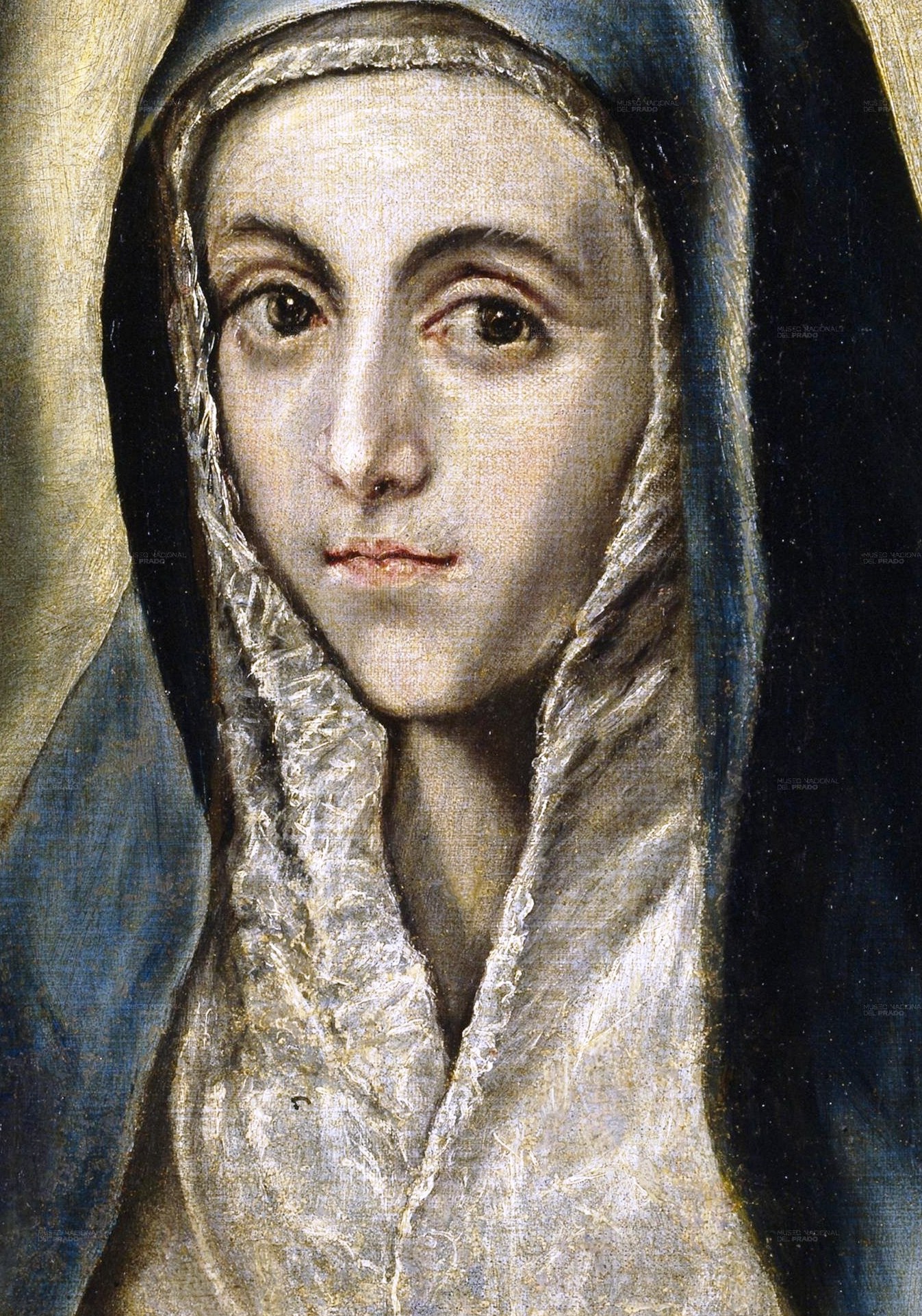 The dark blue veil and delicate white hood frame her face and emphasize her solemnity.