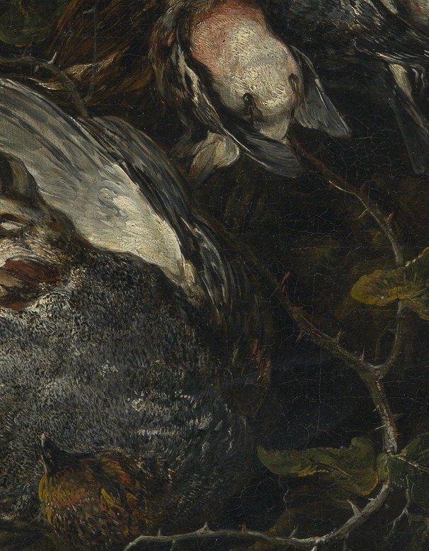 Look closely at the feathers on this partridge.