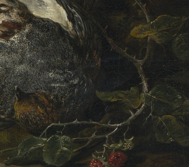 The delicate rendering of individual feathers and their arrangement suggests the softness and fragility of the wing.