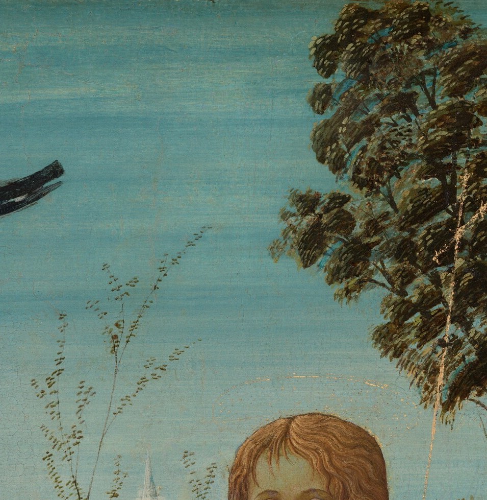 Instead, a gentle-faced boy with flowing auburn hair.