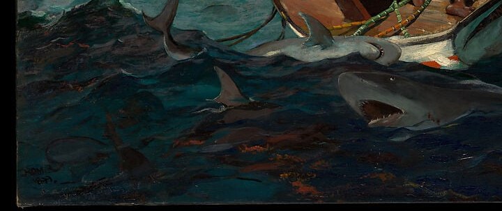 Multiple sharks in the churning water are patient where the sea is violent , they add a layered, inevitable threat that operates on a different timescale than the storm