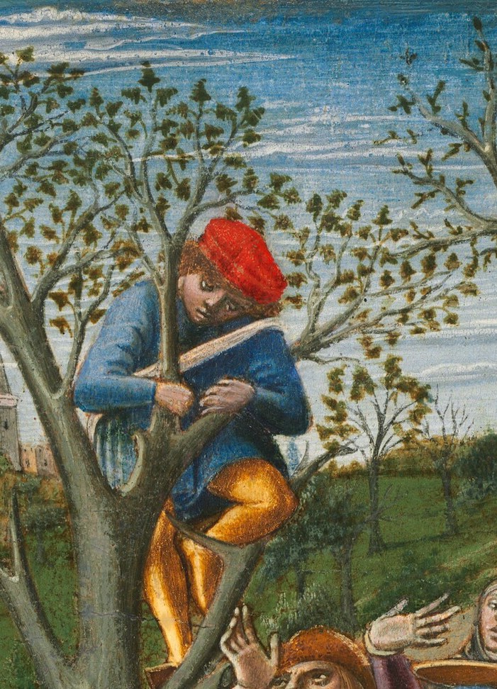 Now look up. A spectator sits in the bare tree.
