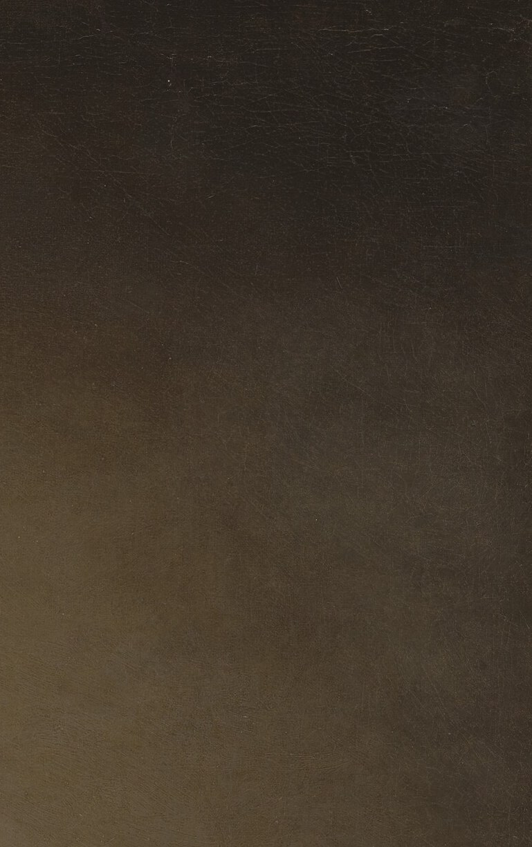 Rembrandt did not paint black.