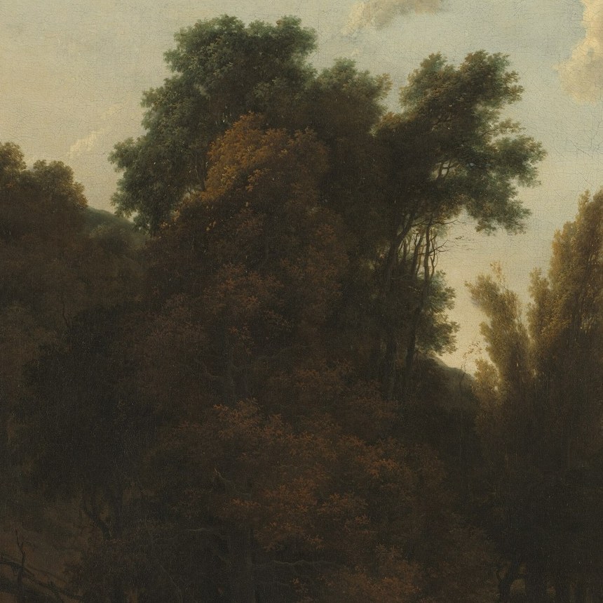 This prominent tree acts as a visual anchor and emphasizes the scale and grandeur of the natural landscape.