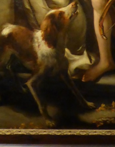 Even the dog looks up at Abraham.