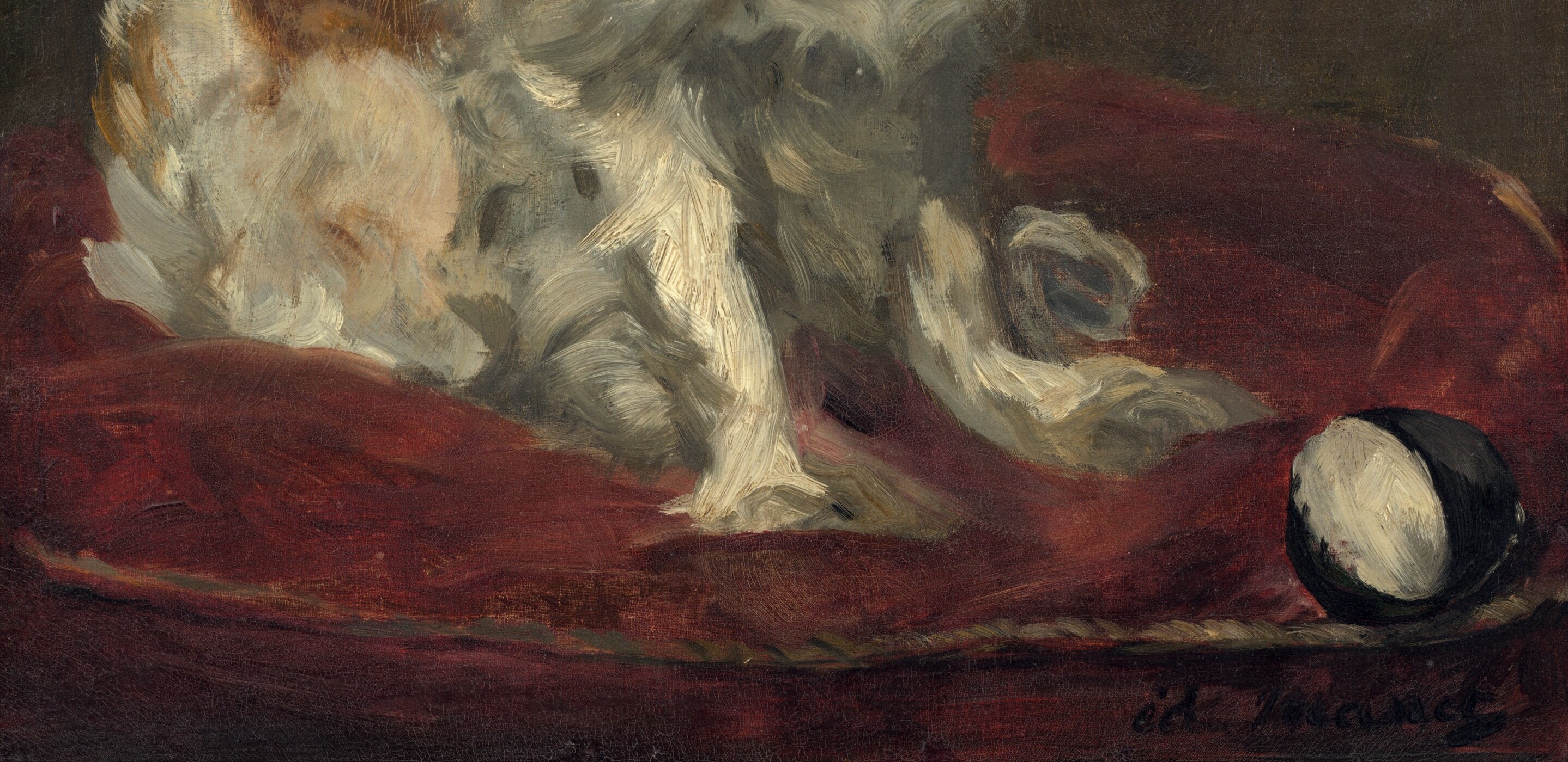 The vibrant, textured surface of the cushion provides a strong visual contrast to the dog and the dark background, grounding the composition.