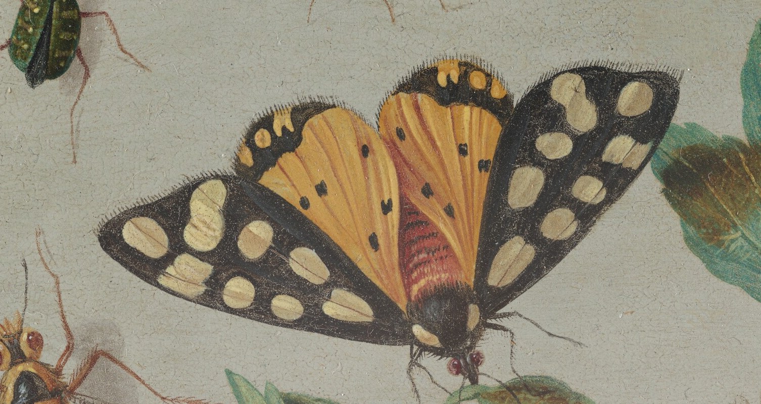 Jan van Kessel painted nature with scientific precision.