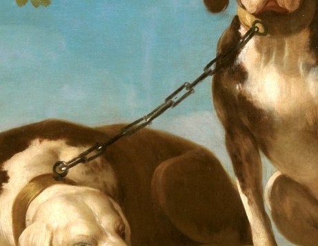 Two dogs, one alert and one weary, share a chain.