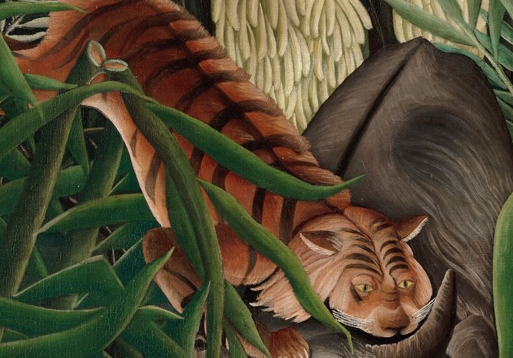 A tiger clamps down on a buffalo's neck.