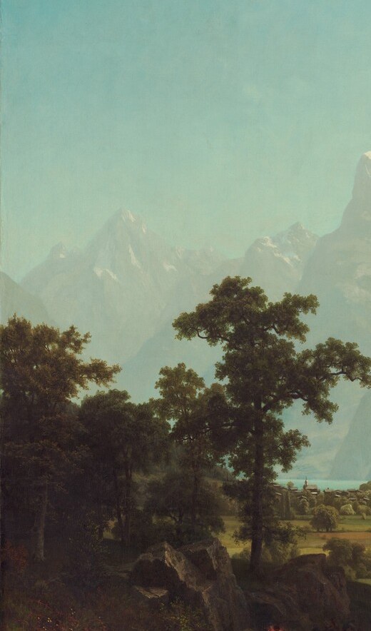 Classic Hudson River framing device , the shadowed foreground trees create a theatrical proscenium arch that forces the eye toward the sunlit valley beyond.