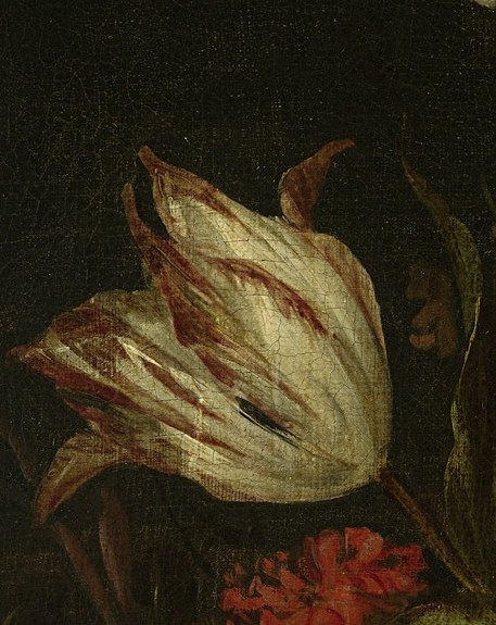 This tulip's slightly drooping posture and detailed petals suggest a sense of impermanence.