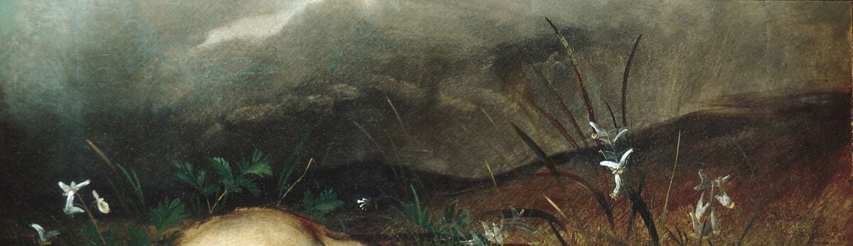 His father, John James Audubon, was world-renowned for his bird paintings.