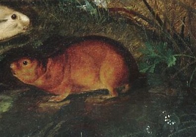 This work served as a naturalist's field guide on canvas.