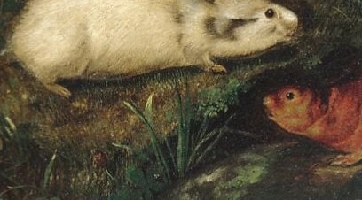 He documented the animal's exact form, just like his father did.