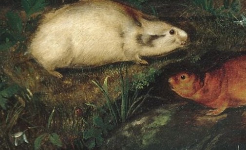 But his son, John Woodhouse Audubon, painted mammals like this lemming.