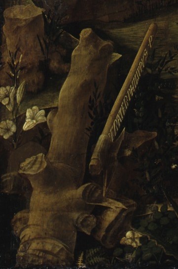 In the foreground, a felled tree stump, emphasizing the woodland.
