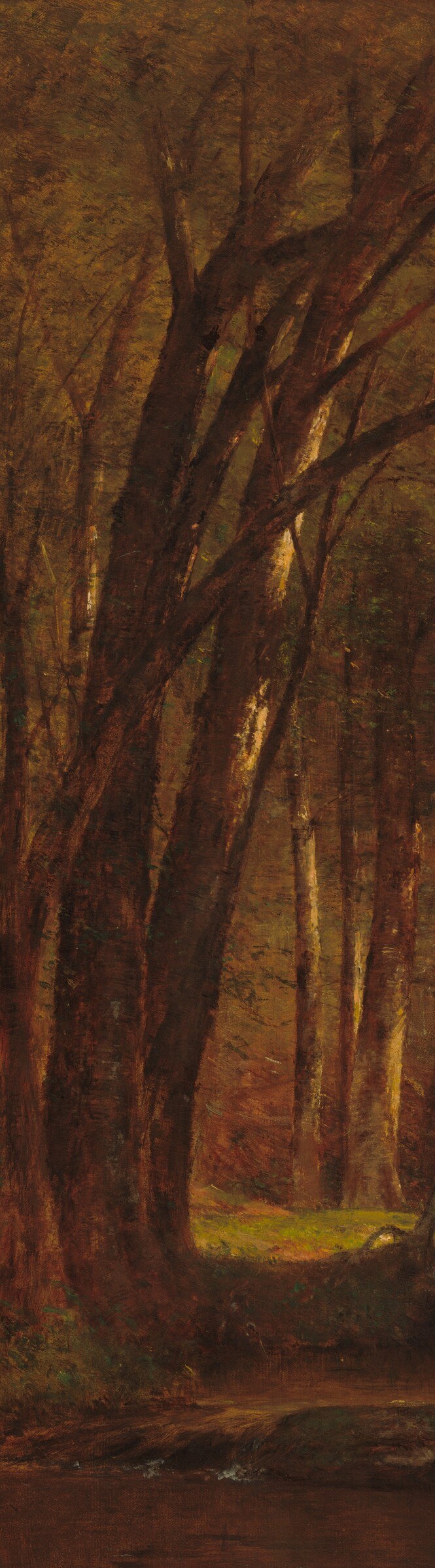 The trees frame it like a cathedral built of light.