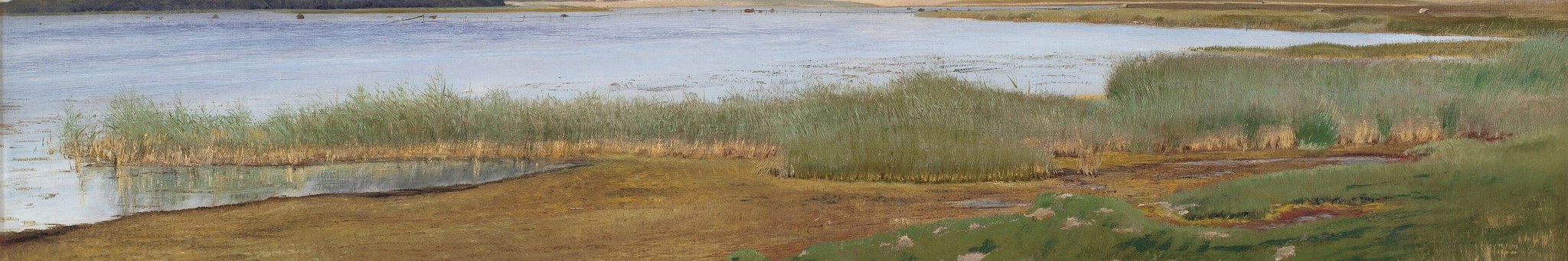 The textured rendering of the reeds adds a tactile quality and defines the boundary between water and land.