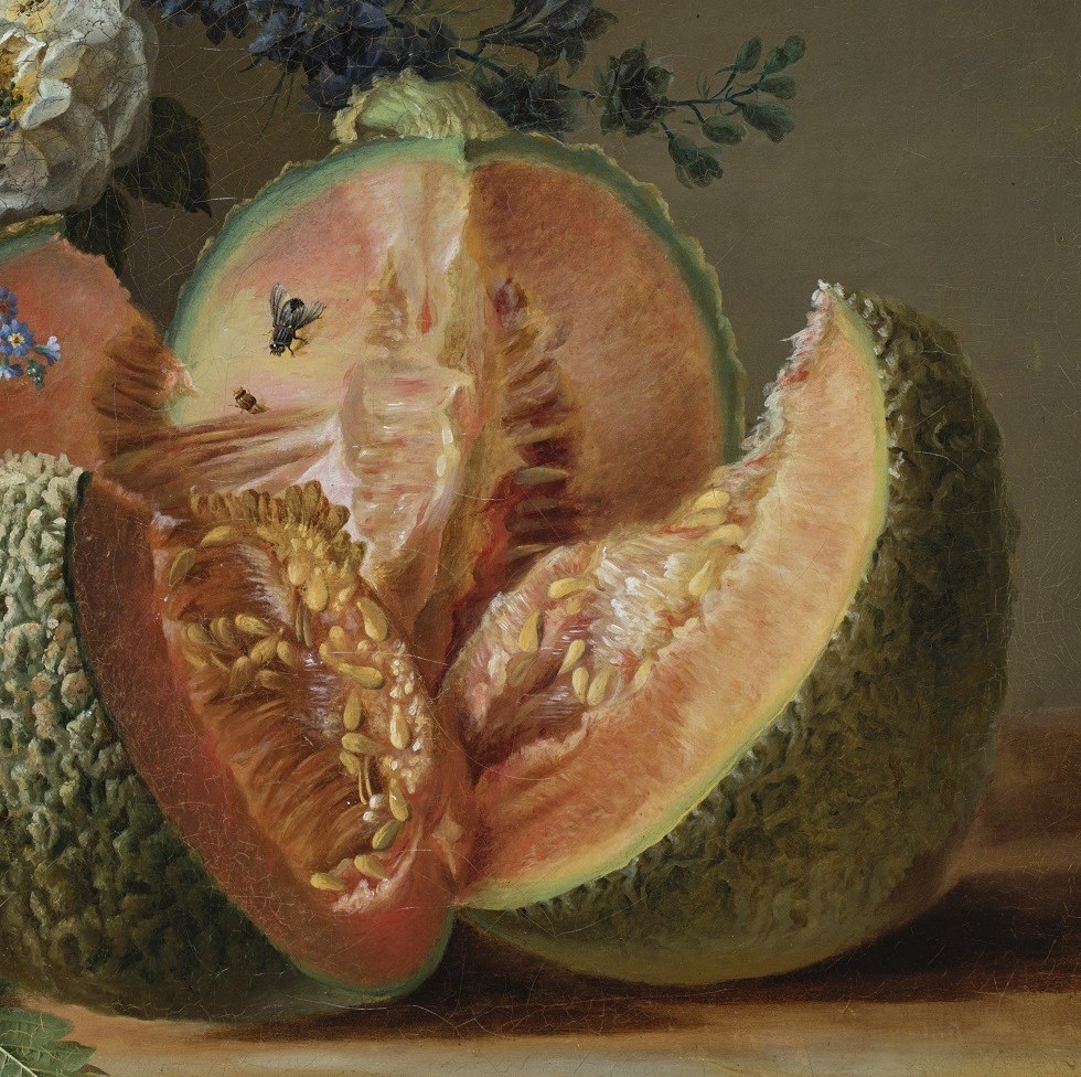Look closely at the surface of this halved melon.