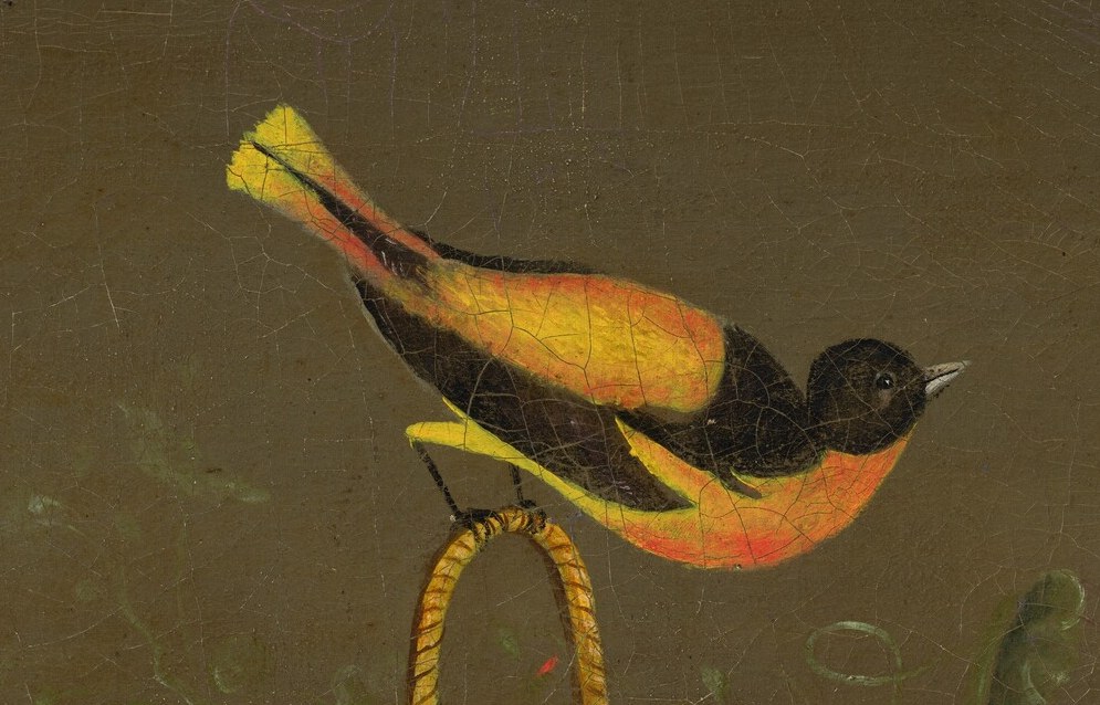 A Baltimore oriole, vivid and alert, pauses on a woven basket.