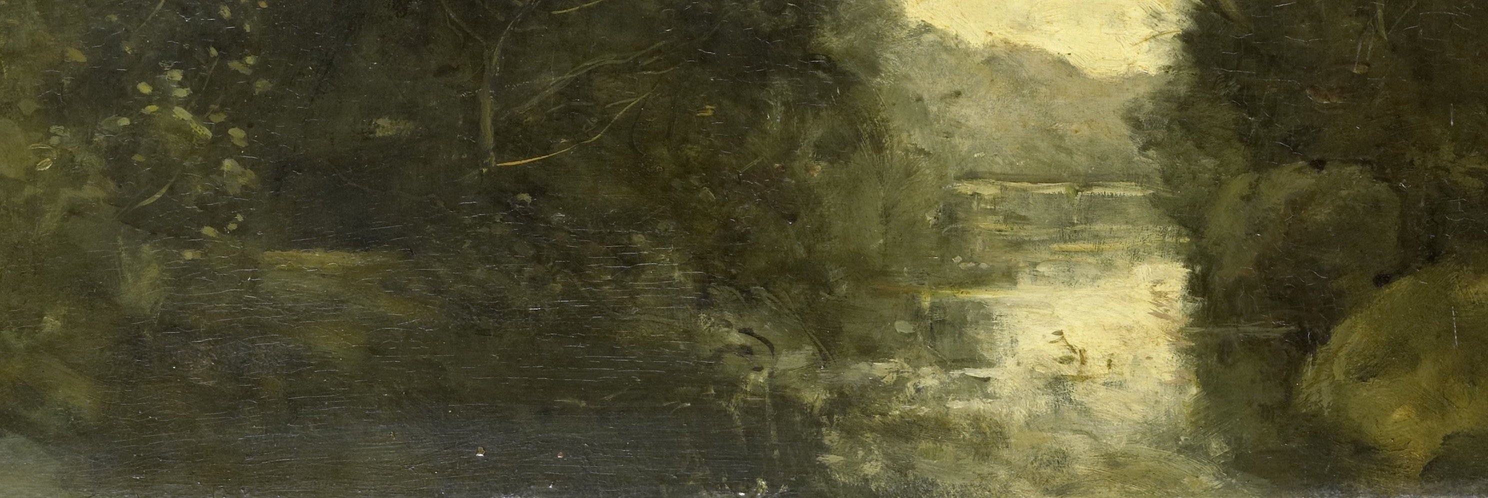 The pond acts as a second sky , reflecting the overhead light and inverting the composition; stillness conveyed by near-perfect horizontality of the far bank reflection