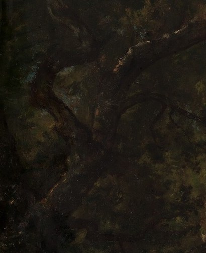 The texture and form of this ancient tree suggest resilience and the passage of time, a silent sentinel of the forest.