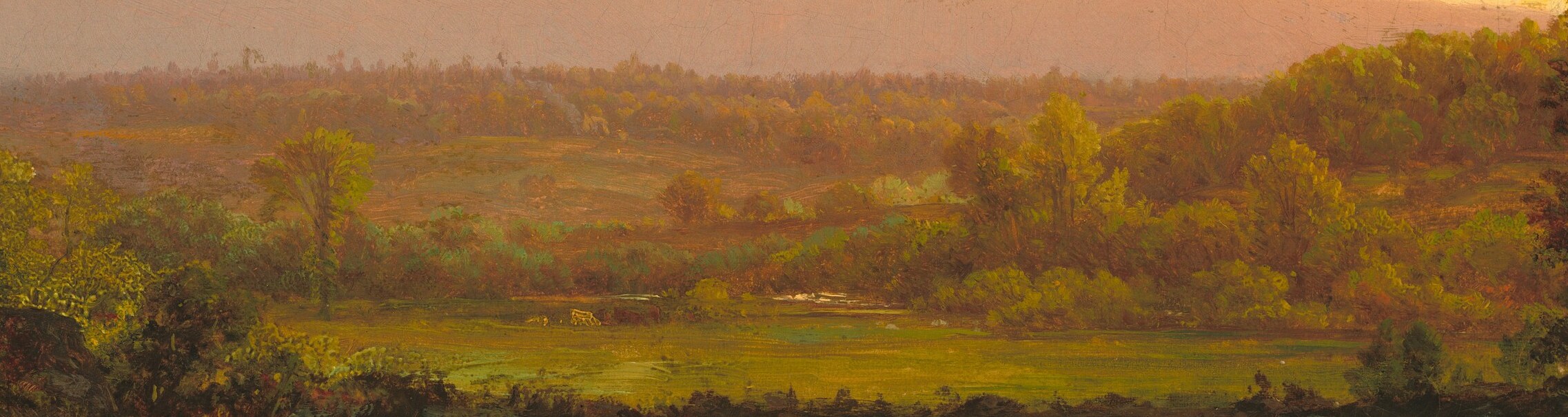 But scan the sunlit field in the middle distance.
