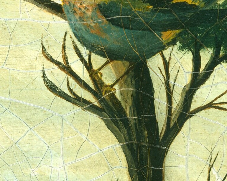 This bird's bright colors and alert posture add a lively detail to the background, contrasting with the cat's prey.