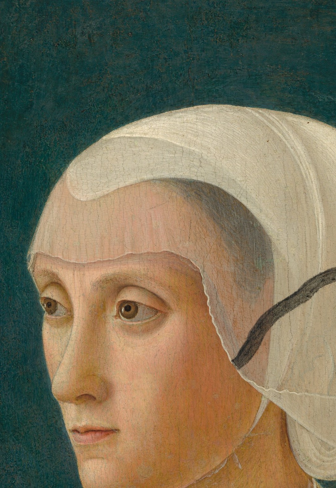 This is Lucrezia Tornabuoni. Lorenzo the Magnificent's mother.