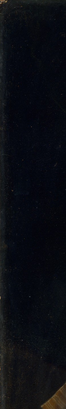 The featureless warm-brown ground is a deliberate Flemish rhetoric: stripping away setting forces all meaning onto the sitter's face and costume , check for any faint inscription near the edge.