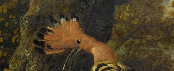 He focused on birds, both exotic and game.