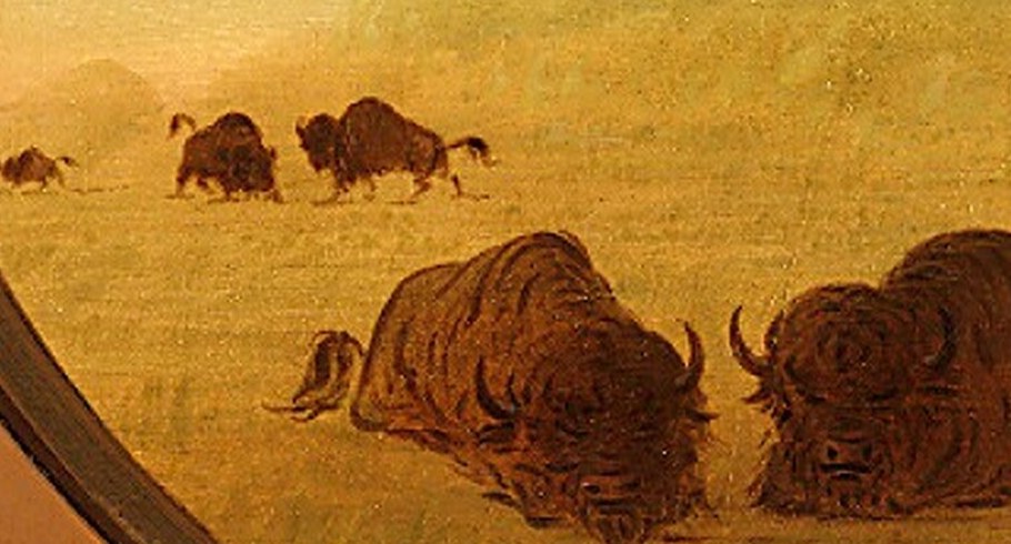 Other Pawnee horsemen approach stealthily for the hunt.