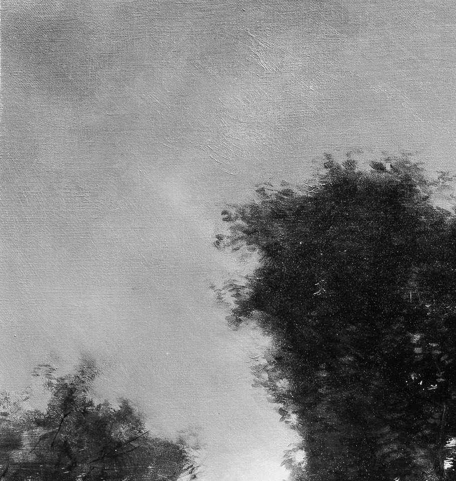 Notice the subtle movement in the fading light.