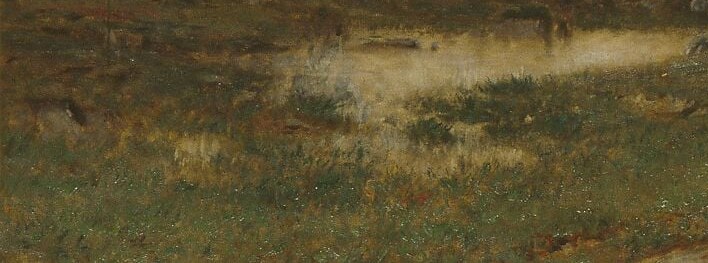 Rich brown-green peat and low vegetation occupy the near ground, creating depth through tonal contrast against the bright mid-distance and giving texture that rewards a slow camera pass.