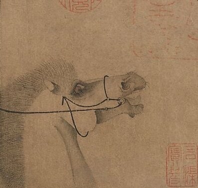 The code: wild strength bound by imperial will. That was the Tang promise.