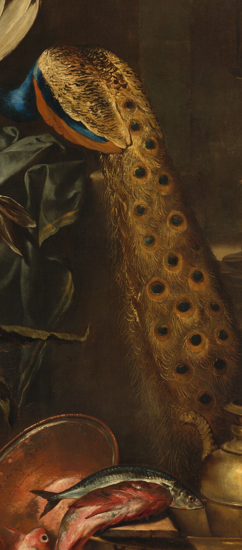 A peacock, exotic and costly, hung by its feet.