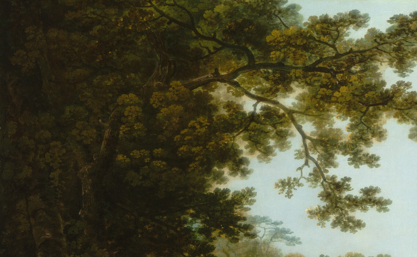 The detailed rendering of the leaves and branches in the foreground creates a natural frame, drawing the viewer into the scene.