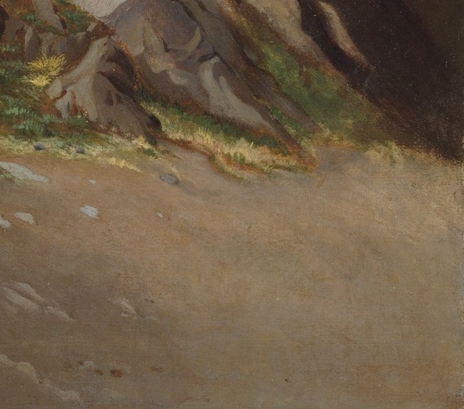 Now, look closely at the rocky ground in the foreground.