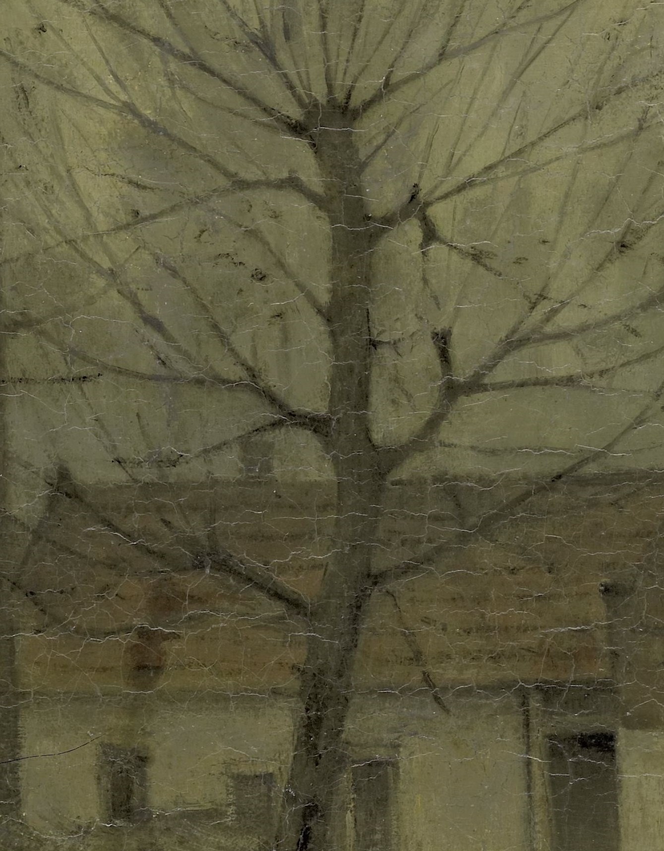 And look at the delicate branches, against a muted sky.