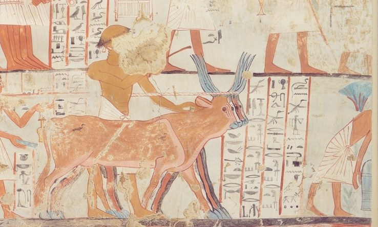 Oxen for sacrifice proclaimed the deceased's wealth.