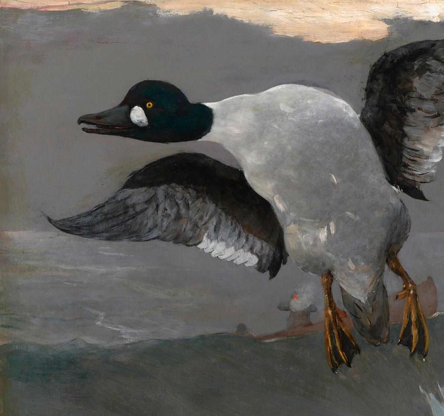 The primary stricken bird, its body already twisting downward , the dark iridescent head and white flank catch the grey light, conveying the sudden violence of being shot mid-flight.
