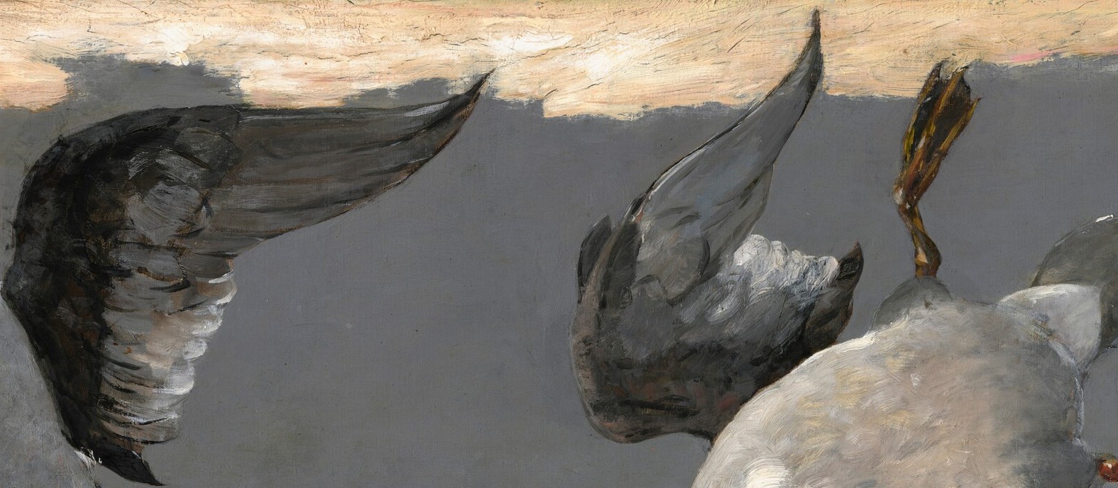 The broad white wing panel echoes Audubon's engravings and Japanese woodblocks.