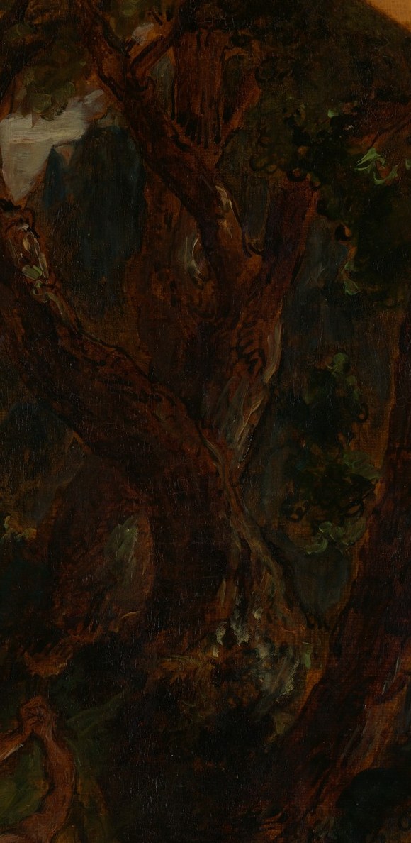 The massive, dark trees create a sense of enclosure and primal power in the nocturnal setting.