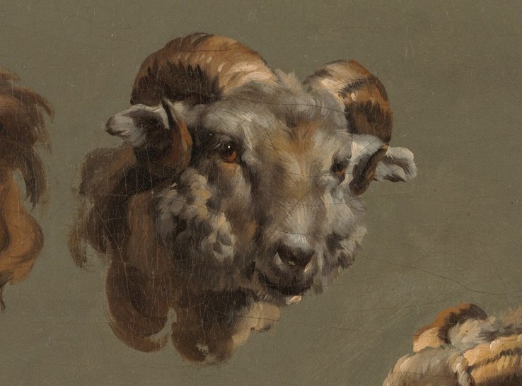 Each head shows unique texture and expression.