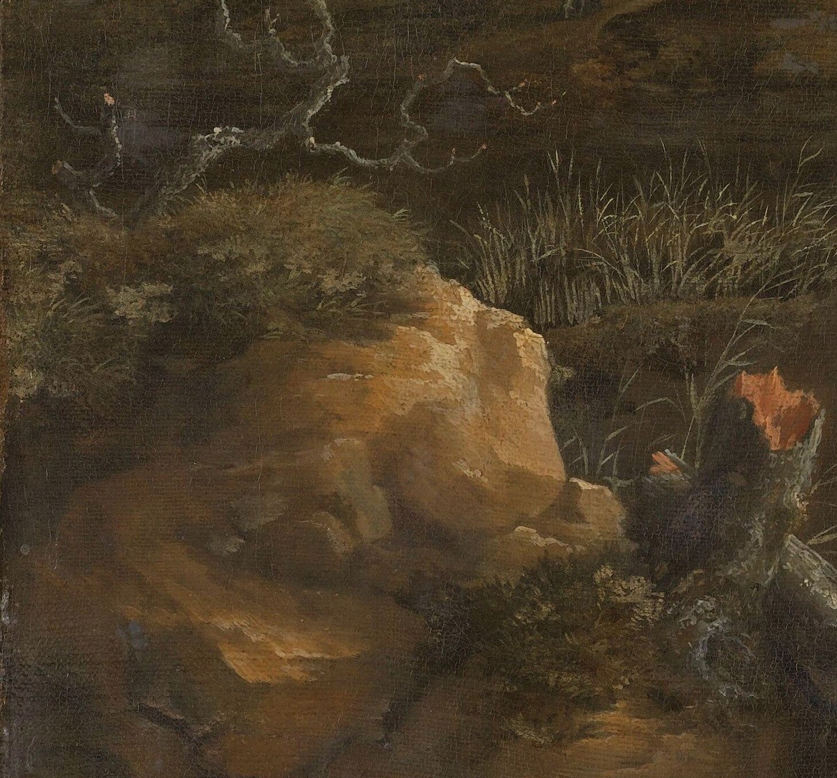 The rough texture and earthy tones of the rocks ground the viewer in the rugged landscape.