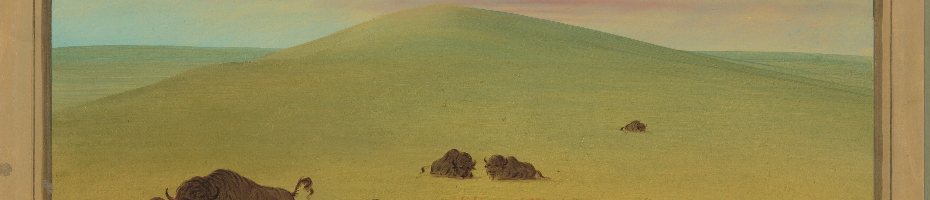 It captures the vast, unspoiled nature of the West.